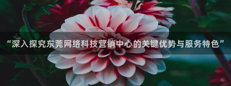 金年会体育官方app下载安卓