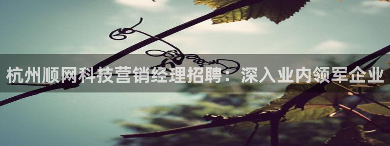 金年会官方app下载最新版
