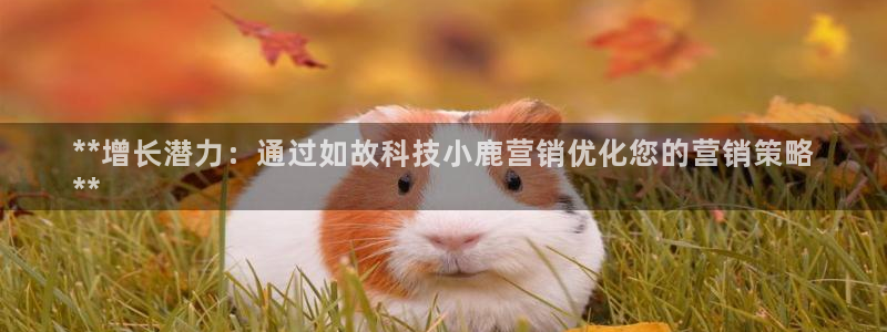 金年会官方app下载安装