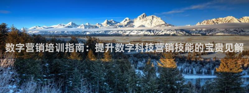 金年会官方网