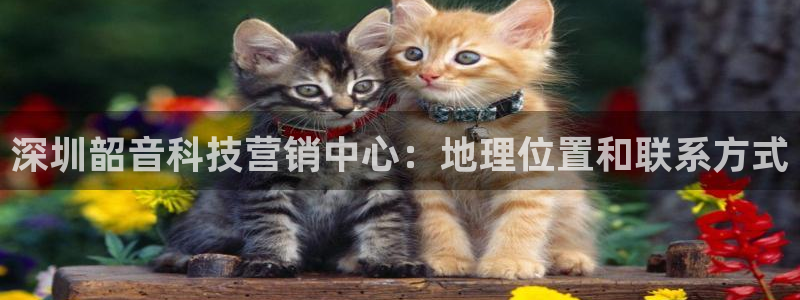 金年会app官方网站入口在哪