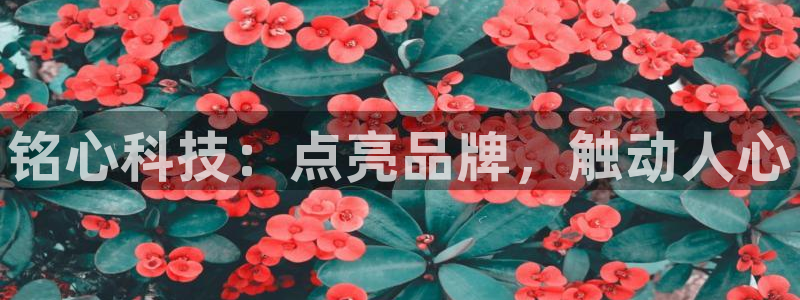 金年会网址导航