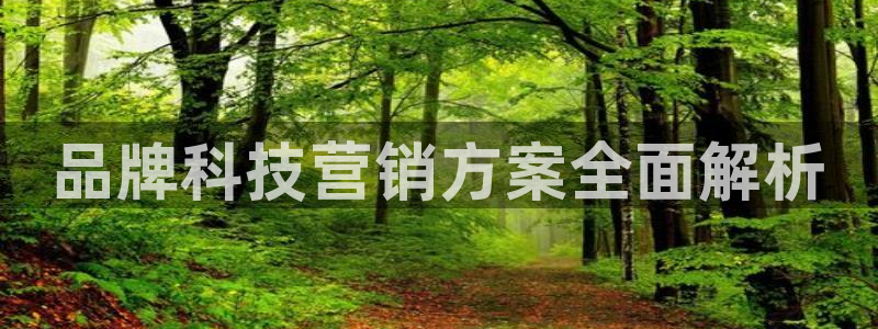 金年会网站下载