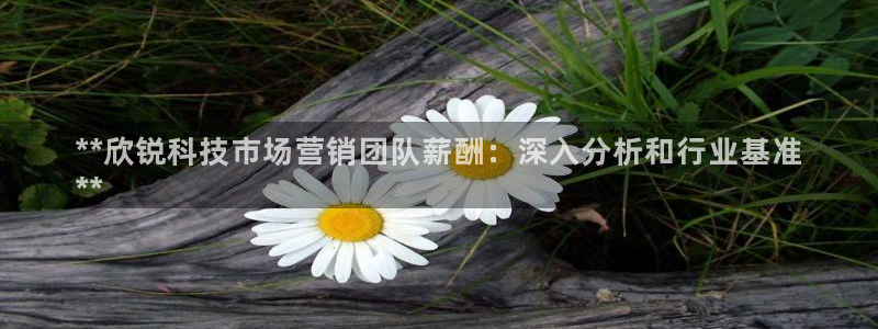 金年会下载链接