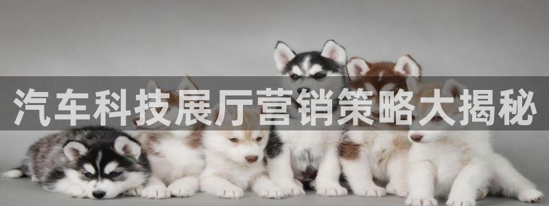金年会