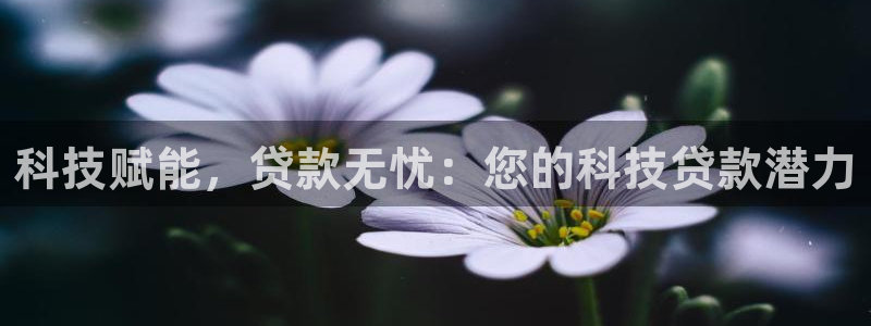 金年会手机网页版