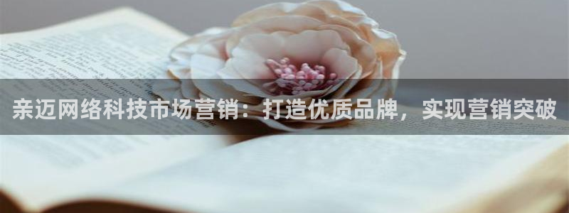 金年会网站被拒绝出款怎么处理?