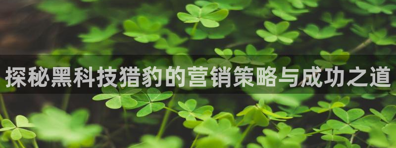 金年会信誉至上 | 金字招牌