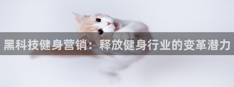 金年会网站可靠吗