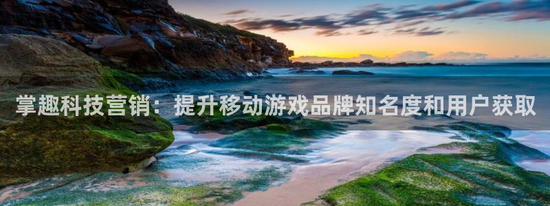 金年会体育合法吗