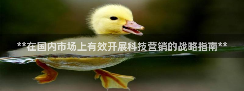 金年会官方新入口