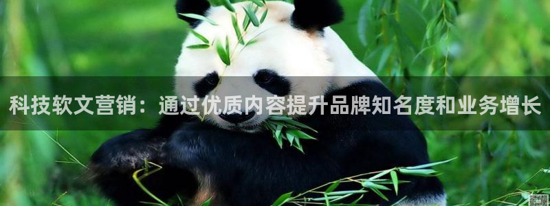 金年会是什么平台会不会提不了现