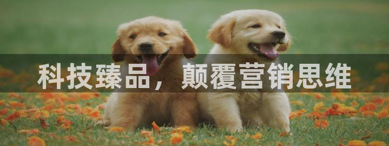 金年会jinnianhuicom
