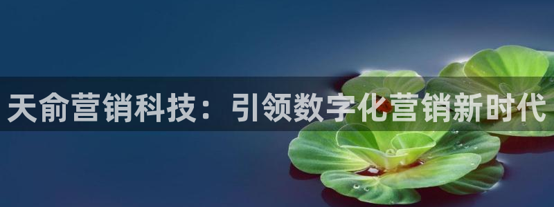 金年会网站