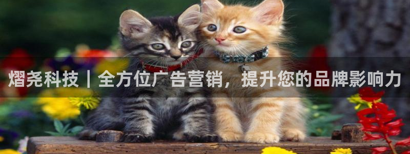 金年会体育入口